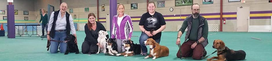 Kim's Dog Coaching & Training Classes Dog photos